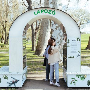 214387_fotok_meretezve_1200x1200_4