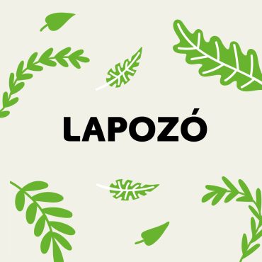 Lapozo_1_1200x1200